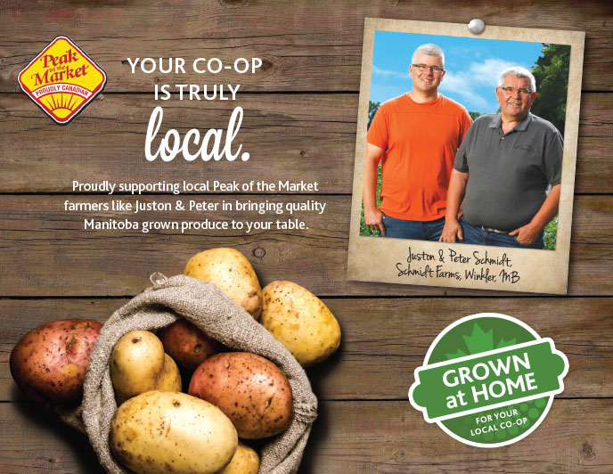 Red River Co-Op Grown at Home potatoes poster
